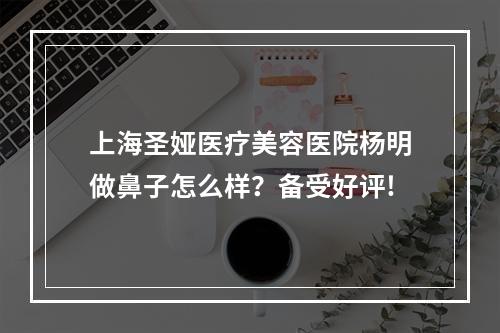 上海圣娅医疗美容医院杨明做鼻子怎么样？备受好评!