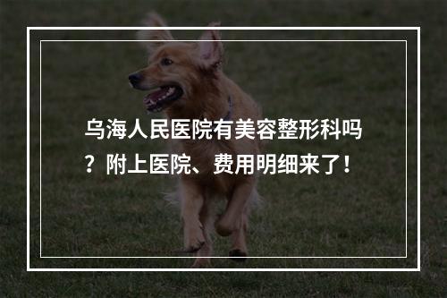 乌海人民医院有美容整形科吗？附上医院、费用明细来了！