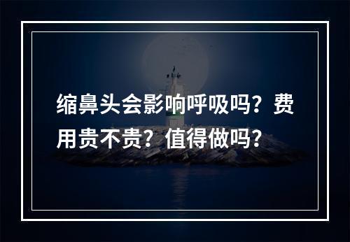 缩鼻头会影响呼吸吗？费用贵不贵？值得做吗？