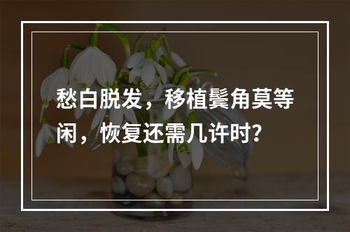 愁白脱发，移植鬓角莫等闲，恢复还需几许时？