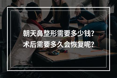 朝天鼻整形需要多少钱？术后需要多久会恢复呢？