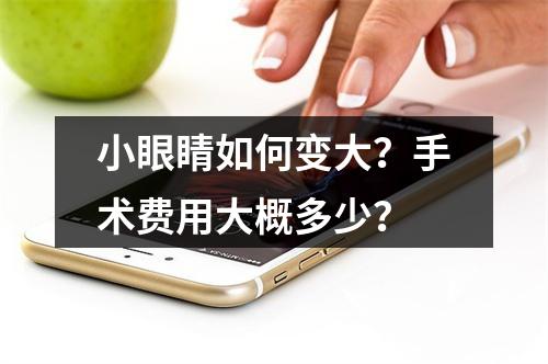 小眼睛如何变大？手术费用大概多少？