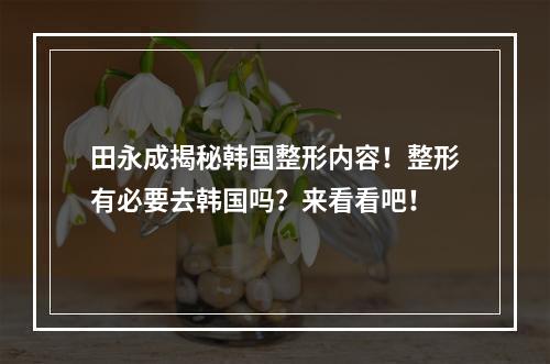 田永成揭秘韩国整形内容！整形有必要去韩国吗？来看看吧！