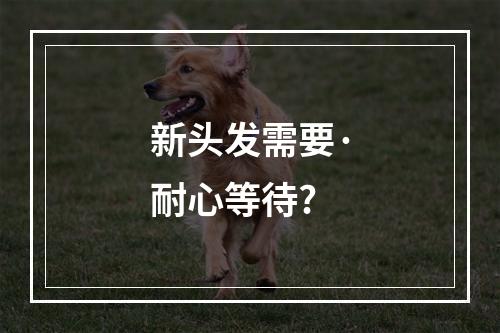 新头发需要·耐心等待?