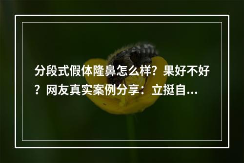 分段式假体隆鼻怎么样？果好不好？网友真实案例分享：立挺自然~