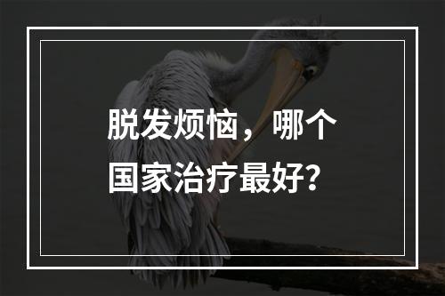 脱发烦恼，哪个国家治疗最好？