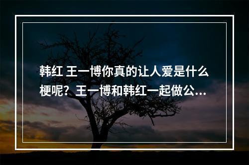 韩红 王一博你真的让人爱是什么梗呢？王一博和韩红一起做公益？