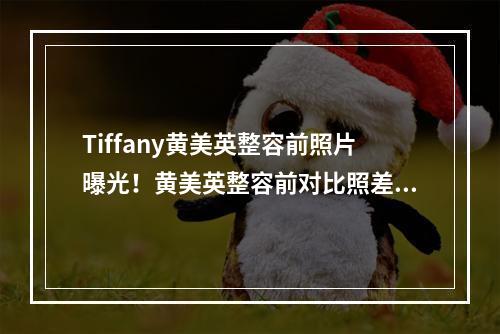 Tiffany黄美英整容前照片曝光！黄美英整容前对比照差距大吗？