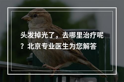 头发掉光了，去哪里治疗呢？北京专业医生为您解答