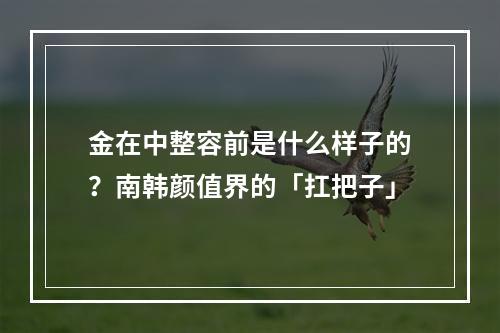 金在中整容前是什么样子的？南韩颜值界的「扛把子」