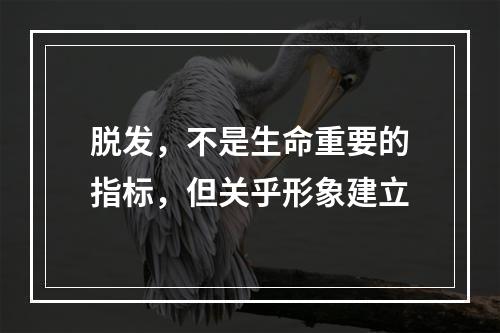 脱发，不是生命重要的指标，但关乎形象建立