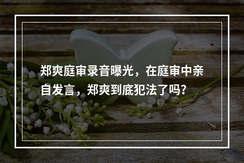 郑爽庭审录音曝光，在庭审中亲自发言，郑爽到底犯法了吗？