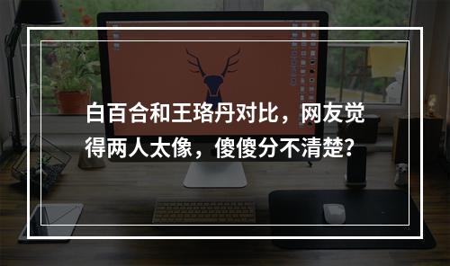 白百合和王珞丹对比，网友觉得两人太像，傻傻分不清楚？