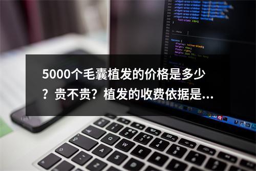 5000个毛囊植发的价格是多少？贵不贵？植发的收费依据是什么？