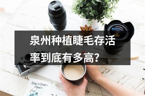 泉州种植睫毛存活率到底有多高？