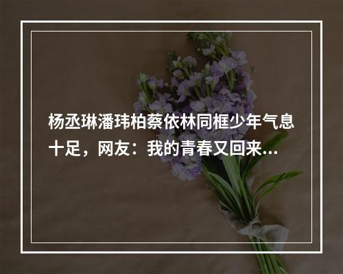 杨丞琳潘玮柏蔡依林同框少年气息十足，网友：我的青春又回来了