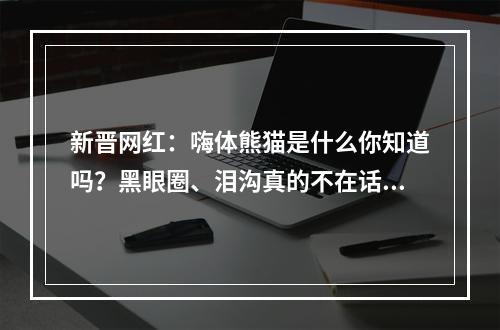 新晋网红：嗨体熊猫是什么你知道吗？黑眼圈、泪沟真的不在话下？！