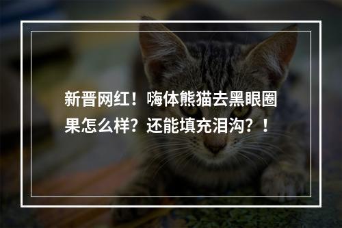 新晋网红！嗨体熊猫去黑眼圈果怎么样？还能填充泪沟？！