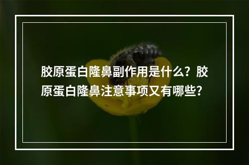 胶原蛋白隆鼻副作用是什么？胶原蛋白隆鼻注意事项又有哪些？