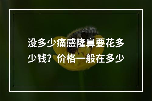 没多少痛感隆鼻要花多少钱？价格一般在多少