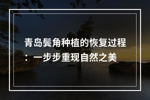 青岛鬓角种植的恢复过程：一步步重现自然之美