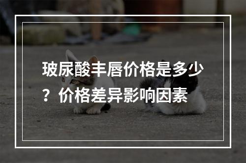 玻尿酸丰唇价格是多少？价格差异影响因素