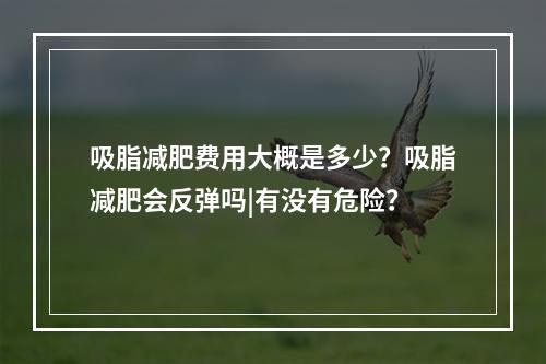 吸脂减肥费用大概是多少？吸脂减肥会反弹吗|有没有危险？