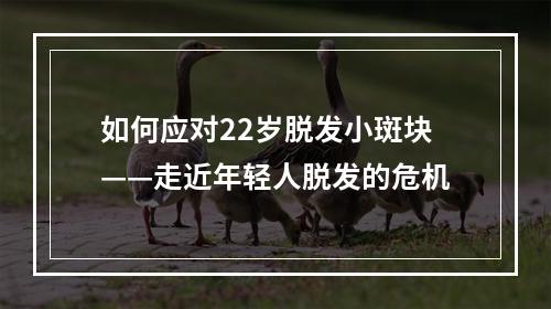 如何应对22岁脱发小斑块——走近年轻人脱发的危机