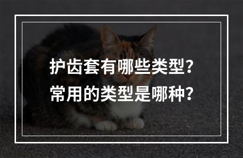 护齿套有哪些类型？常用的类型是哪种？