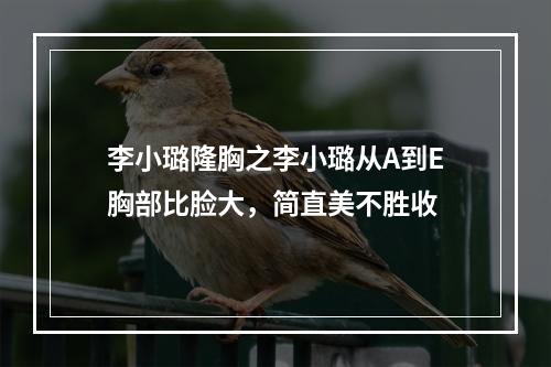 李小璐隆胸之李小璐从A到E胸部比脸大，简直美不胜收