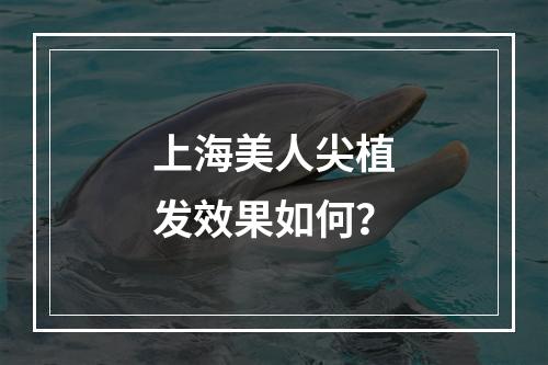 上海美人尖植发效果如何？