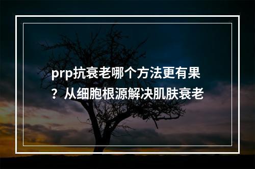 prp抗衰老哪个方法更有果？从细胞根源解决肌肤衰老