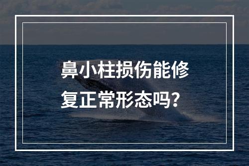 鼻小柱损伤能修复正常形态吗？