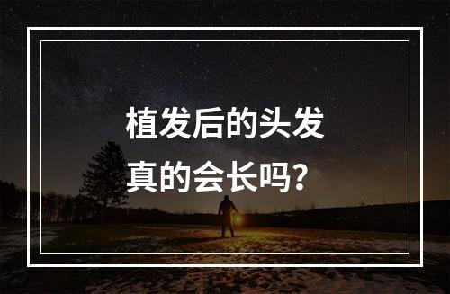 植发后的头发真的会长吗？