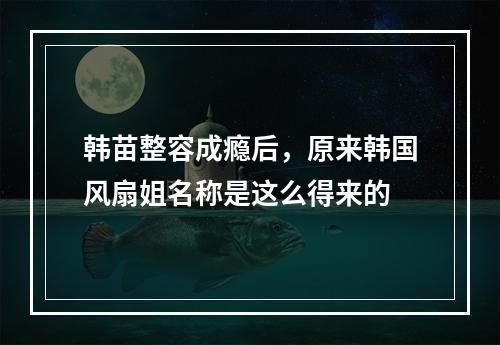 韩苗整容成瘾后，原来韩国风扇姐名称是这么得来的