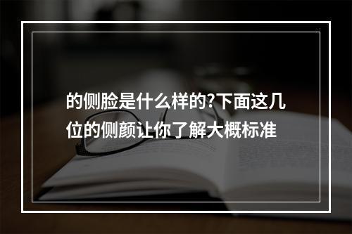 的侧脸是什么样的?下面这几位的侧颜让你了解大概标准