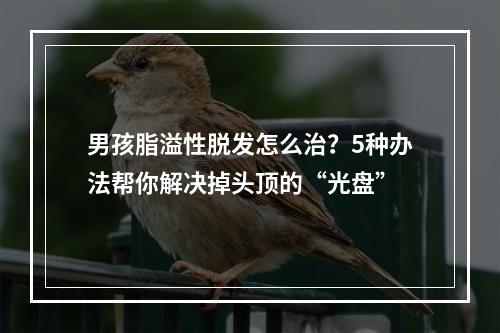 男孩脂溢性脱发怎么治？5种办法帮你解决掉头顶的“光盘”