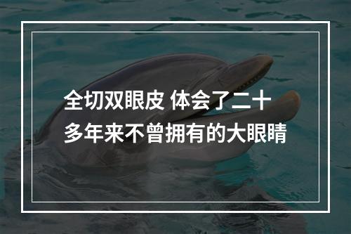 全切双眼皮 体会了二十多年来不曾拥有的大眼睛