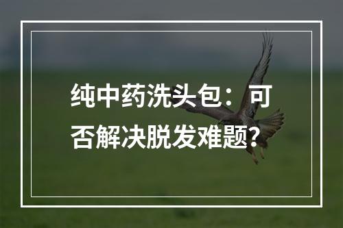 纯中药洗头包：可否解决脱发难题？