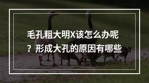 毛孔粗大明X该怎么办呢？形成大孔的原因有哪些