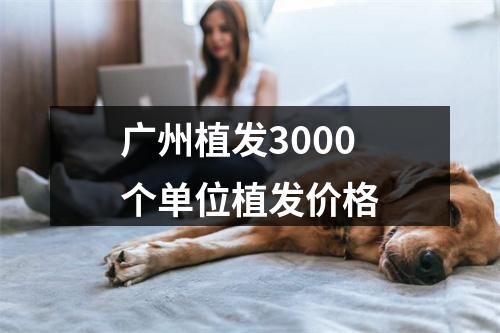 广州植发3000个单位植发价格