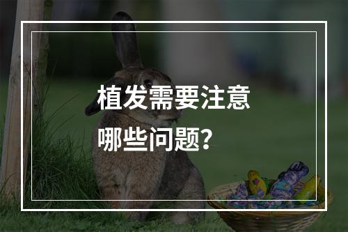 植发需要注意哪些问题？