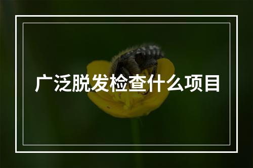 广泛脱发检查什么项目