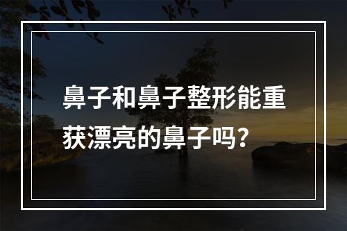 鼻子和鼻子整形能重获漂亮的鼻子吗？