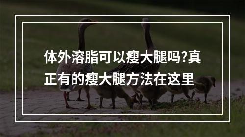 体外溶脂可以瘦大腿吗?真正有的瘦大腿方法在这里