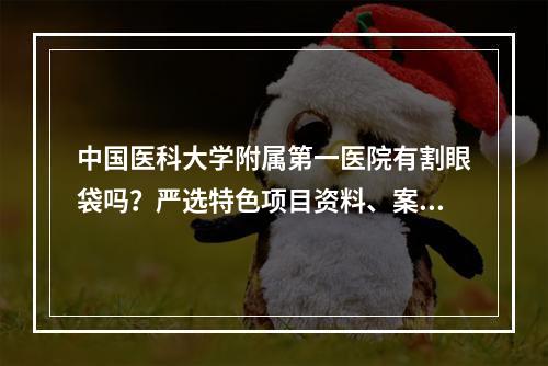 中国医科大学附属第一医院有割眼袋吗？严选特色项目资料、案例了解