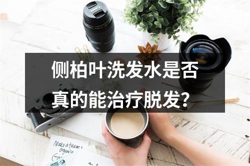 侧柏叶洗发水是否真的能治疗脱发？