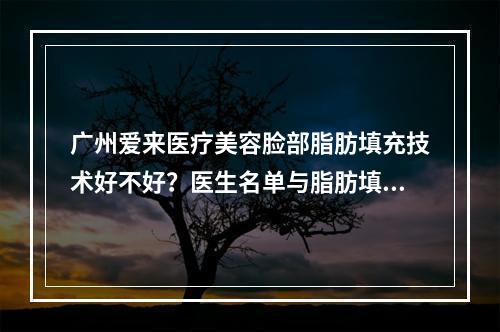 广州爱来医疗美容脸部脂肪填充技术好不好？医生名单与脂肪填充案例公开