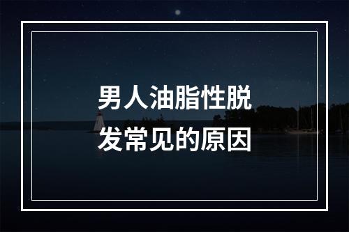 男人油脂性脱发常见的原因