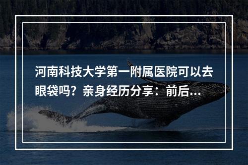 河南科技大学第一附属医院可以去眼袋吗？亲身经历分享：前后差别太大了！